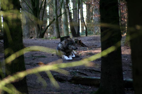 NUP Natur- und Umweltpark Gstrow